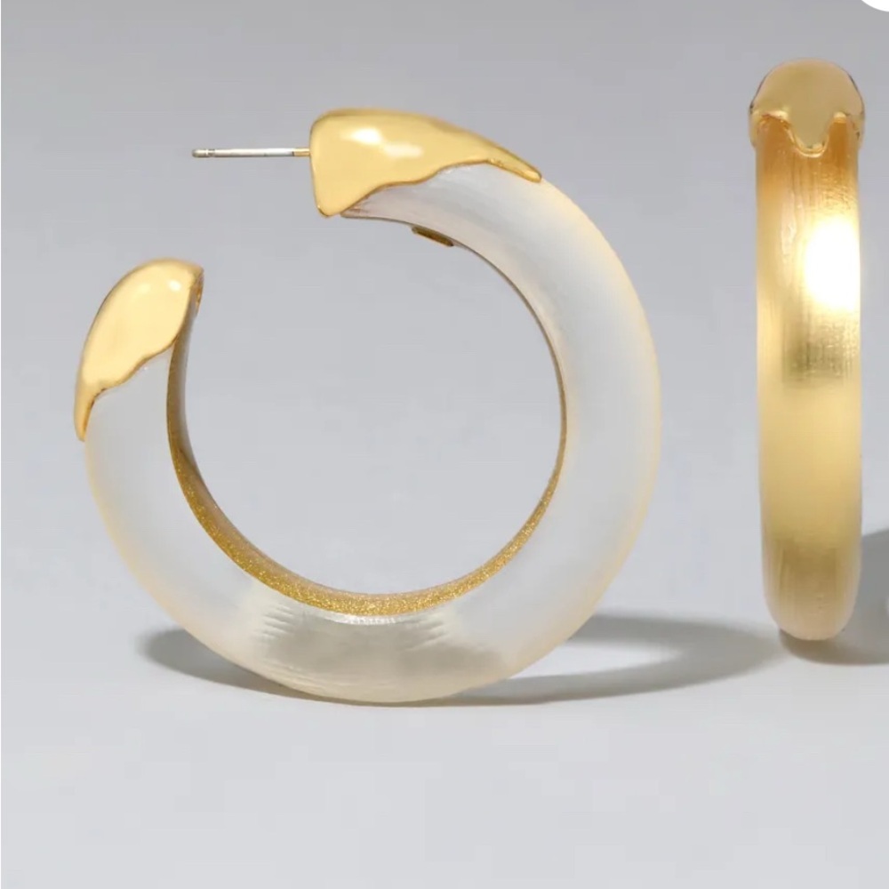 ALEXIS BITTAR 
Luminous Lucite Dipped Hoop Earrings - Picture 3 of 3